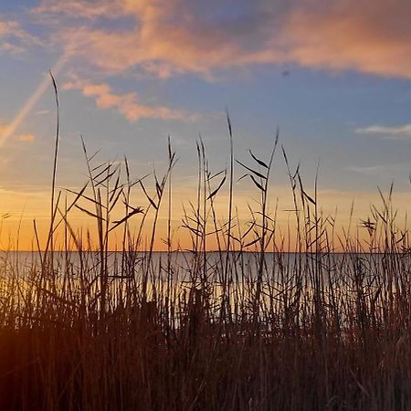 Вілла Meze Avec Vue Face A L'Etang Екстер'єр фото