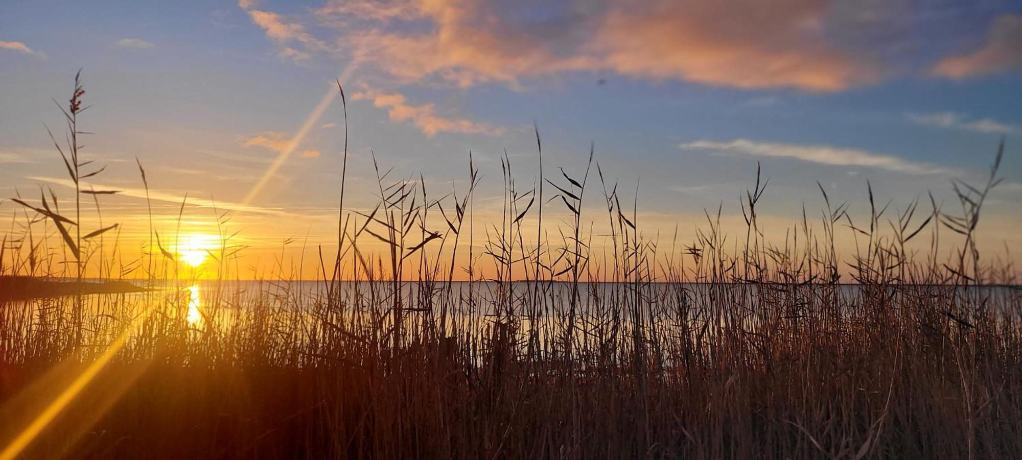Вілла Meze Avec Vue Face A L'Etang Екстер'єр фото